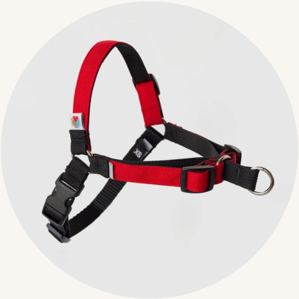 Wildebeest Linden No Pull Harness, Red, Small